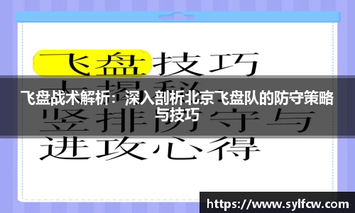 飞盘战术解析：深入剖析北京飞盘队的防守策略与技巧