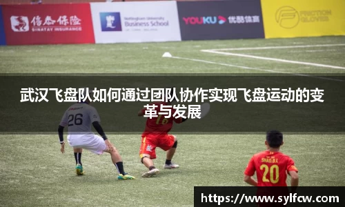 武汉飞盘队如何通过团队协作实现飞盘运动的变革与发展