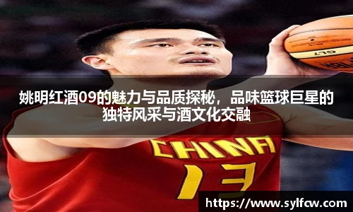 姚明红酒09的魅力与品质探秘，品味篮球巨星的独特风采与酒文化交融