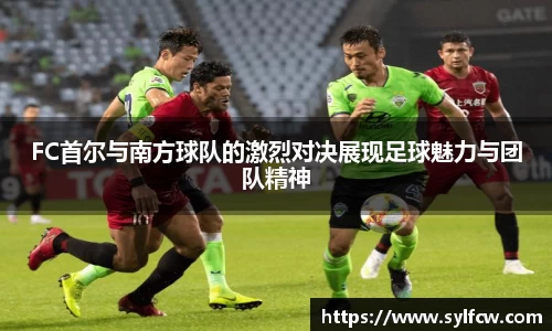 FC首尔与南方球队的激烈对决展现足球魅力与团队精神
